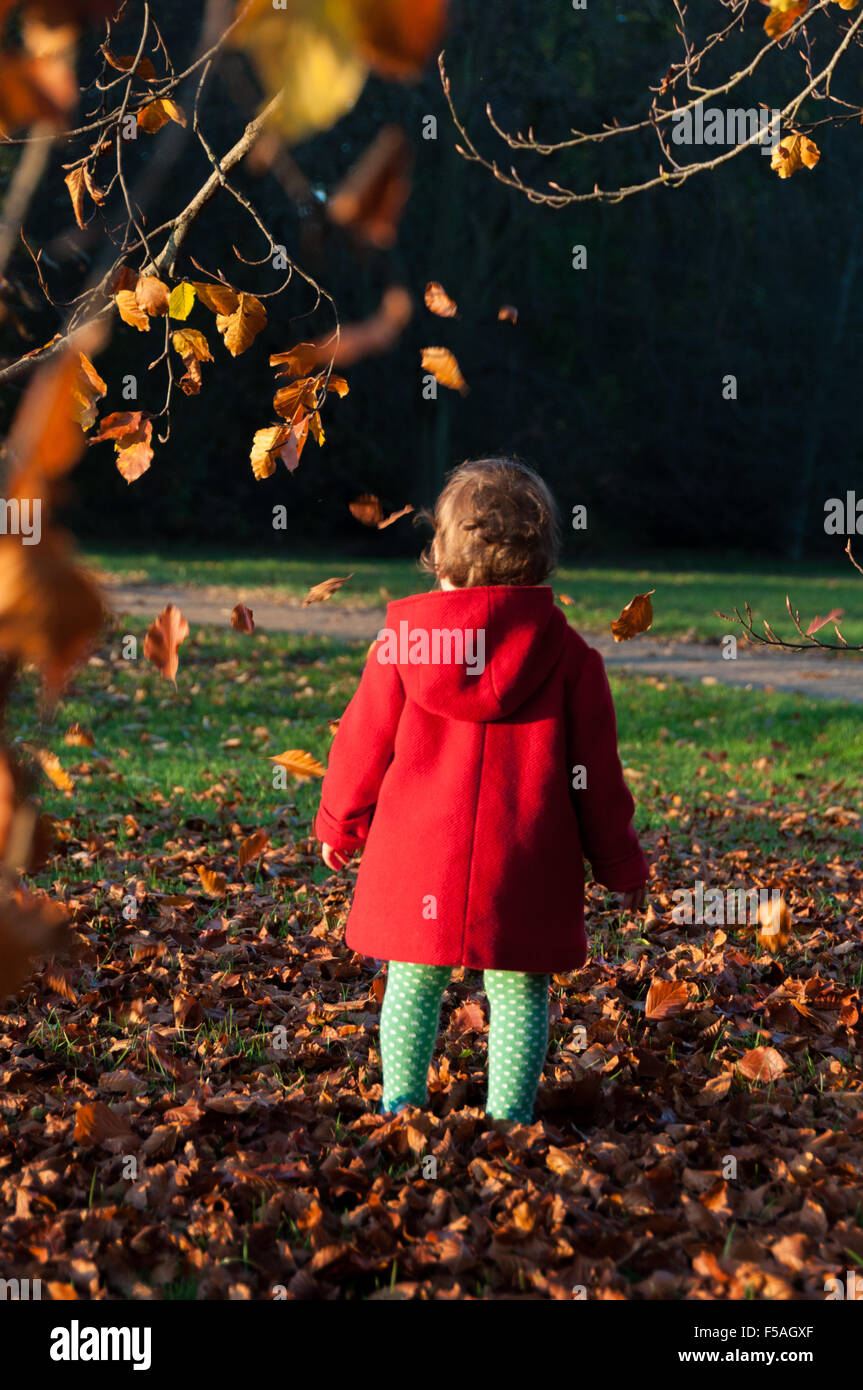 Toddler playing with autumn leaves for the first time Stock Photo - Alamy