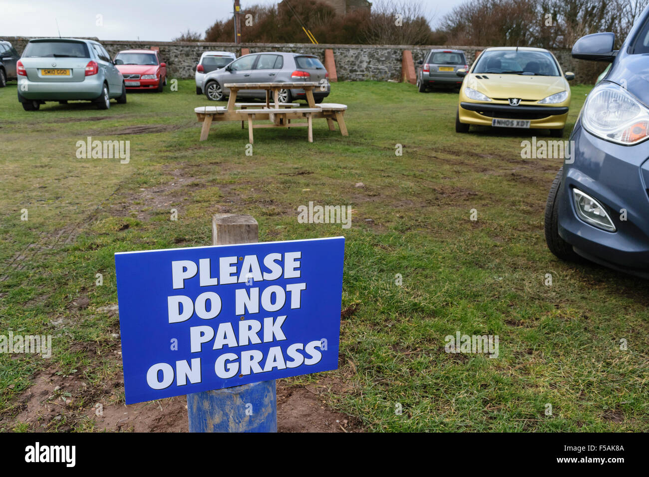 Please do not park on the grass ignored Stock Photo Alamy