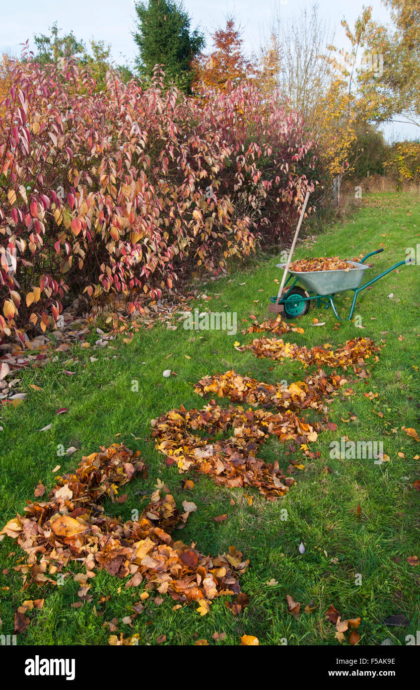 the word Fall spelt out in autumn leaves Stock Photo