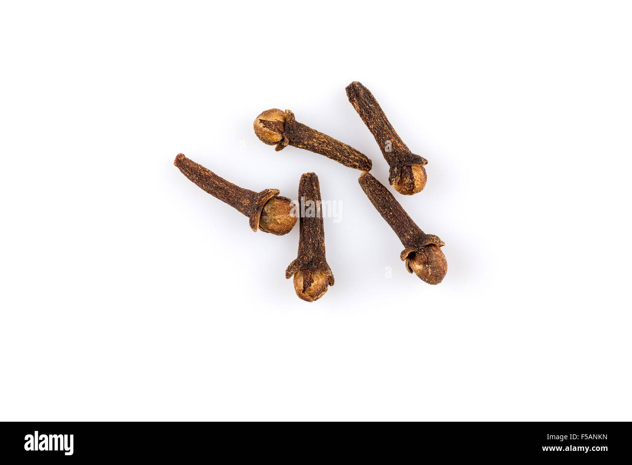 Cloves spice isolated on a white background Stock Photo Alamy