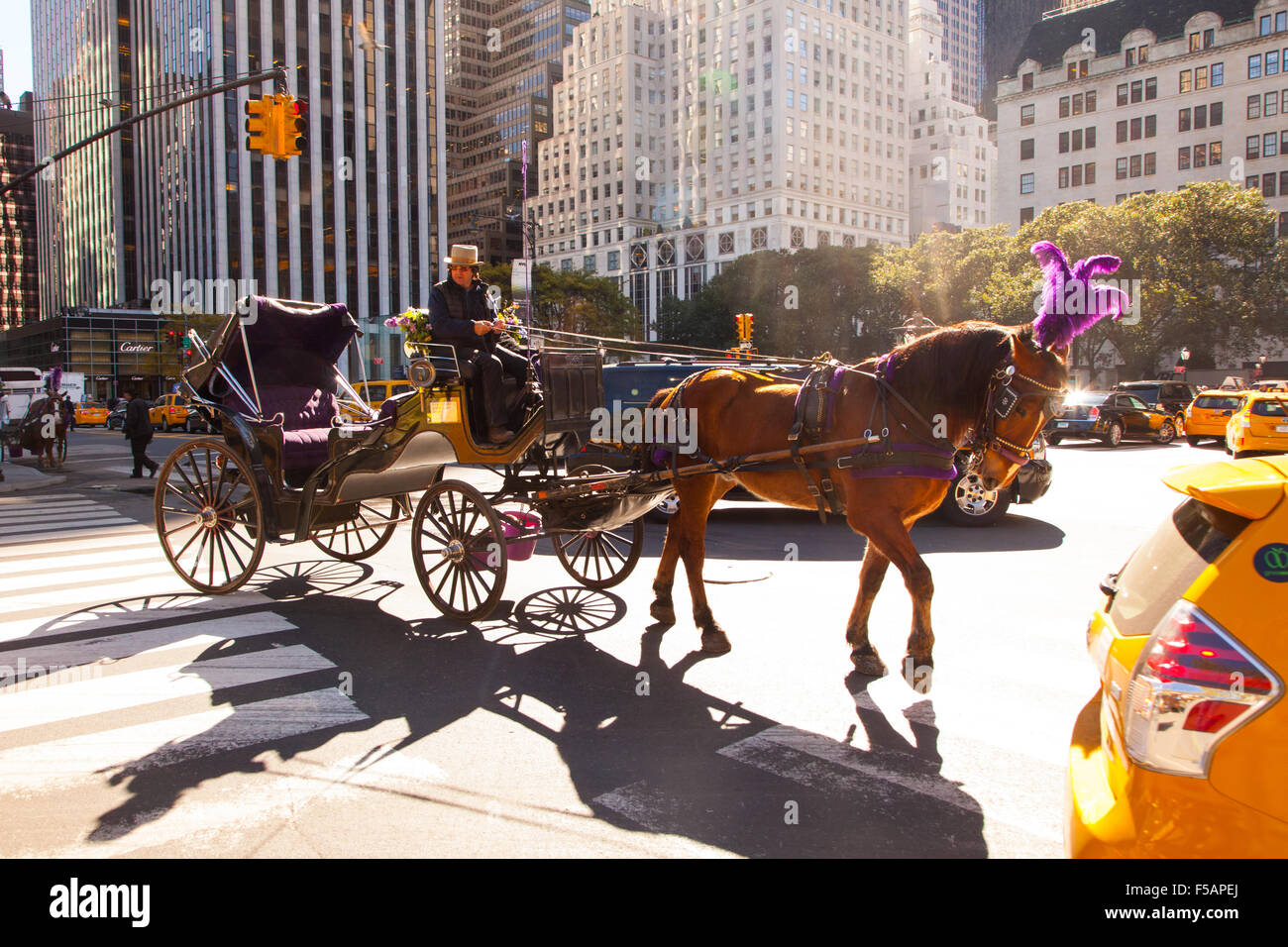 Central Park horse and carriage waiting to pick up a customer .W 59th Street, New York City, United States of America. Stock Photo