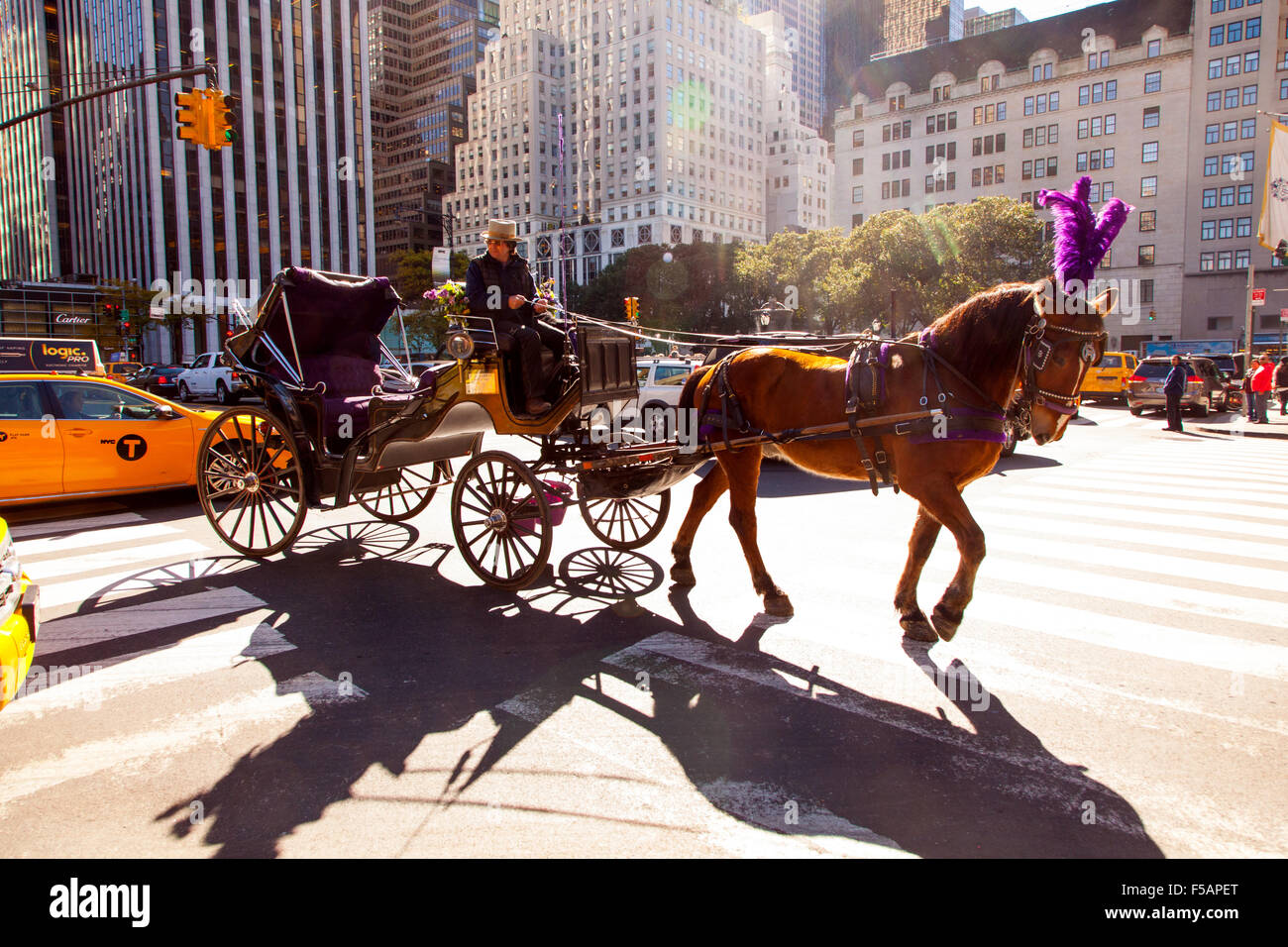 Central Park horse and carriage waiting to pick up a customer .W 59th Street, New York City, United States of America. Stock Photo