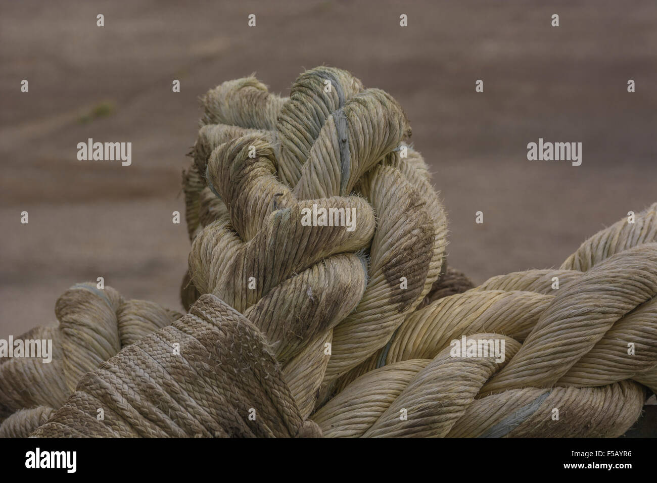 Brown linen boat ropes from natural fiber Stock Photo - Alamy