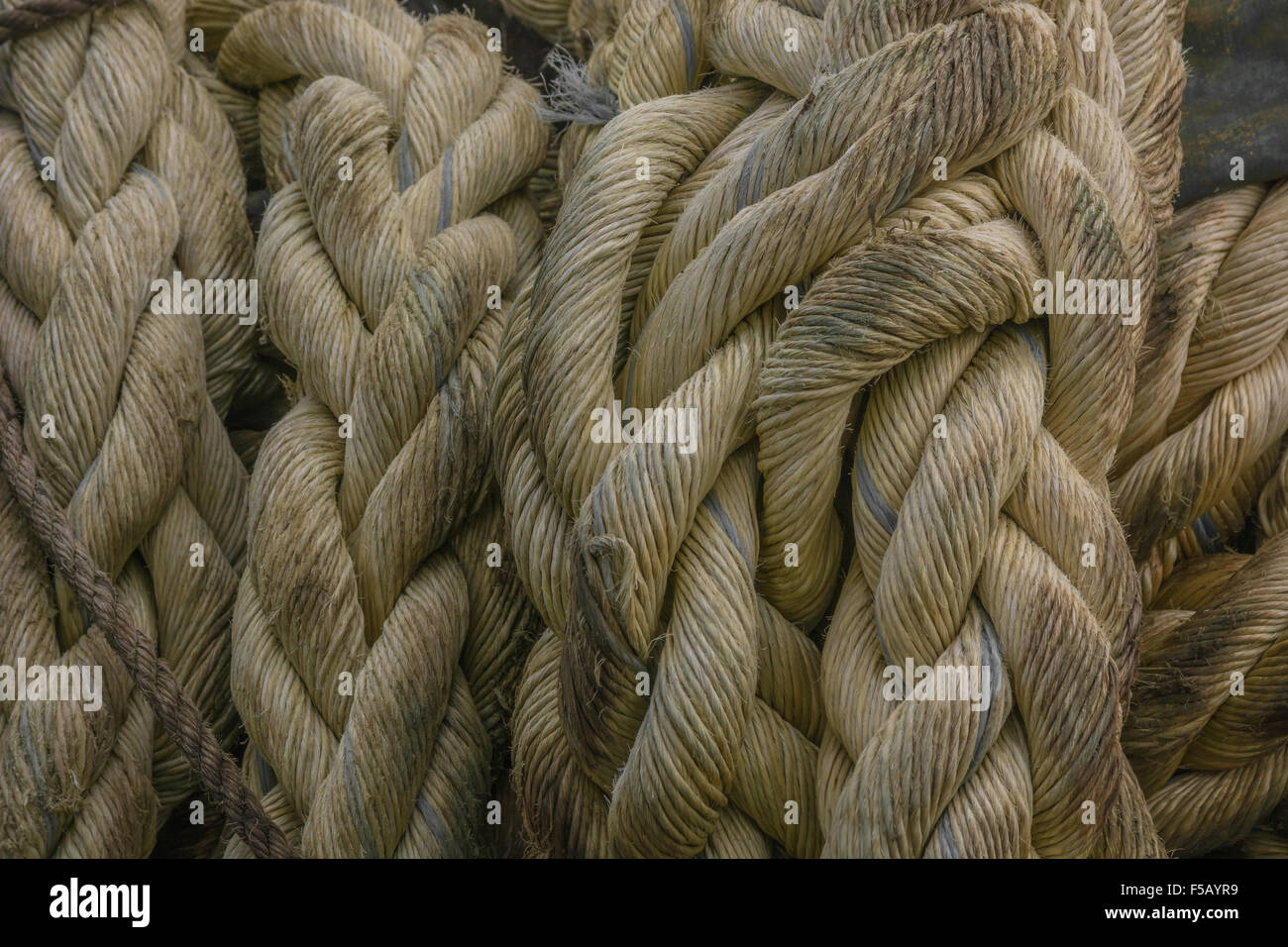 Close-up of natural fibre / fiber / rope hawser on a dock / quay side. Rope close up shot. Stock Photo