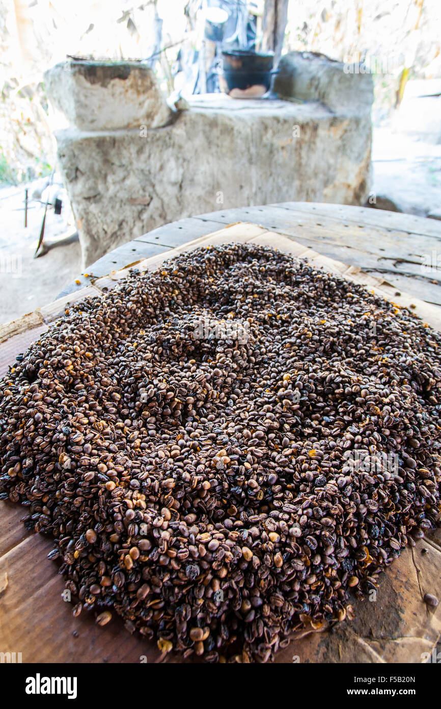 Artisanal shade grown coffee beans in Yerbabuena, Colima. Stock Photo