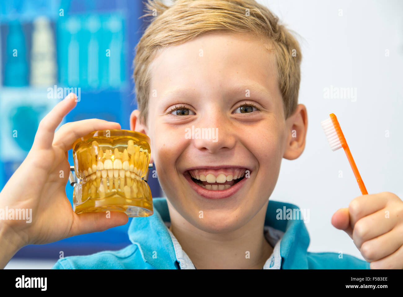 Dentist office, young patient, denture model, prevention, examination