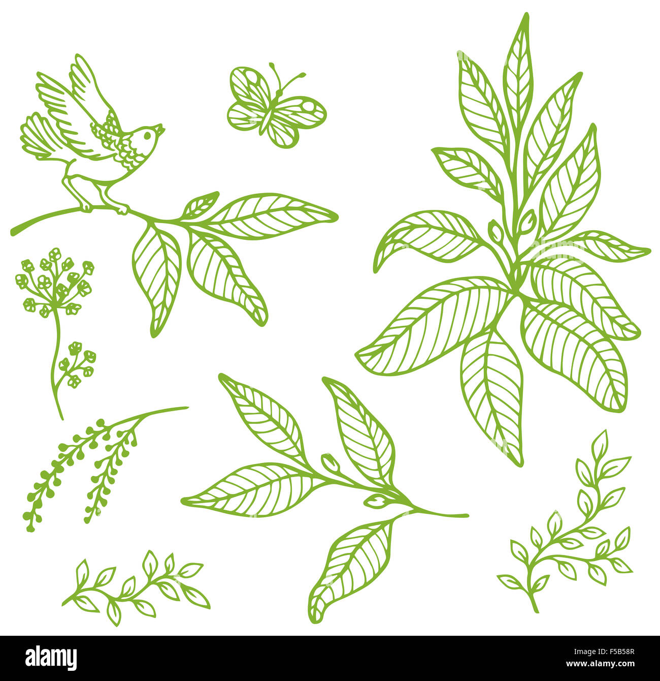 Set of hand drawn decorative floral elements Stock Photo - Alamy