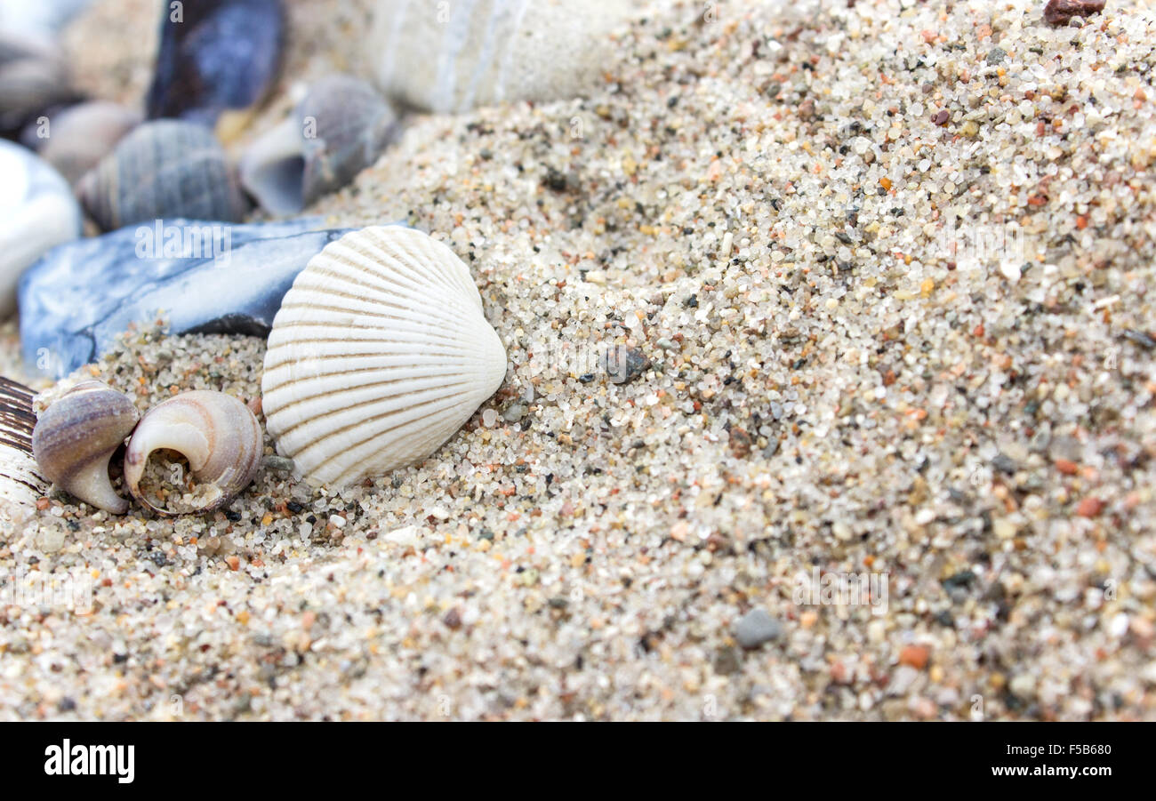Gray rocks on the beach hi-res stock photography and images - Alamy