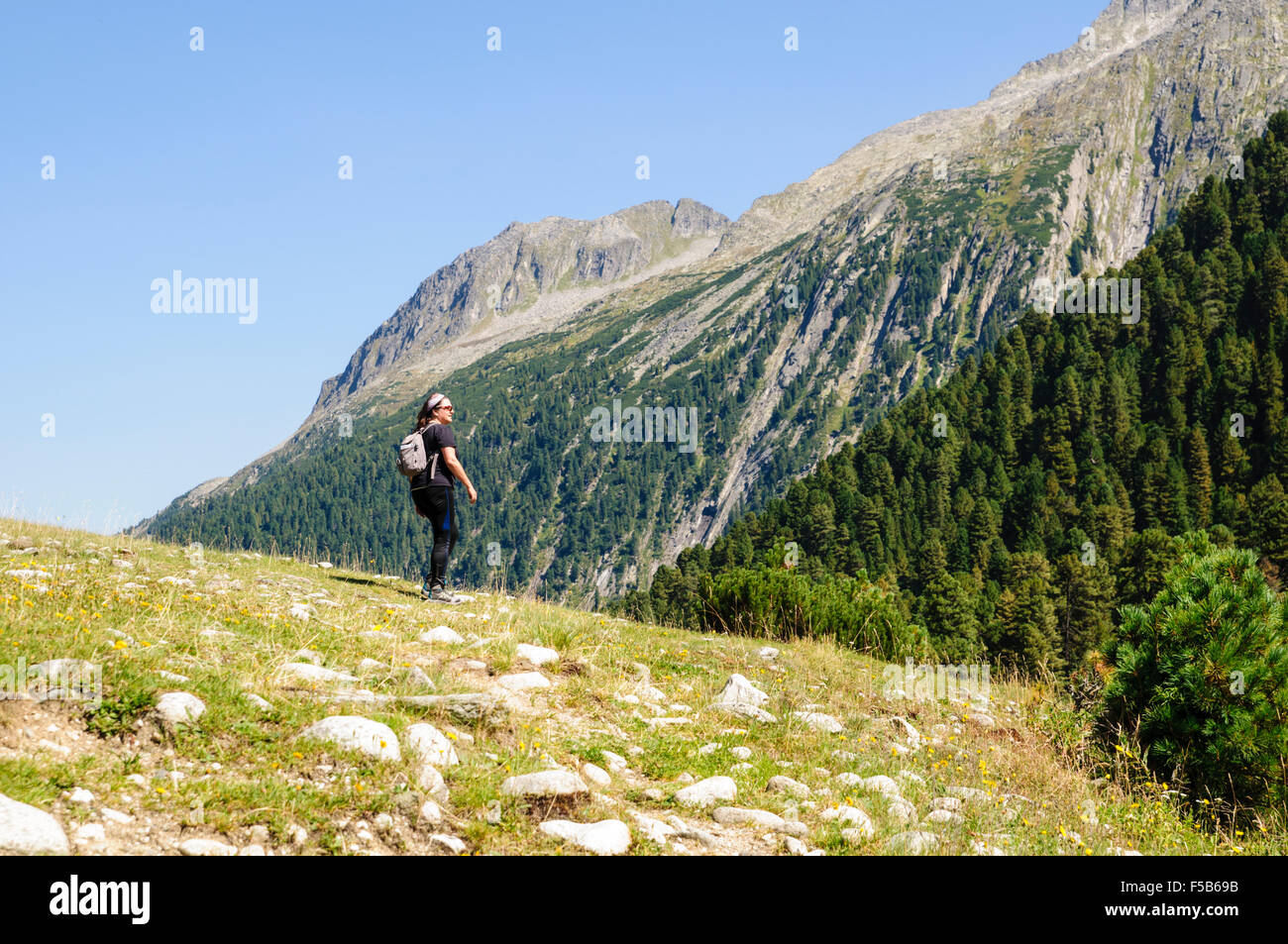 Female hiker in Zillertal alps, Tirol, Austria Model release available ...