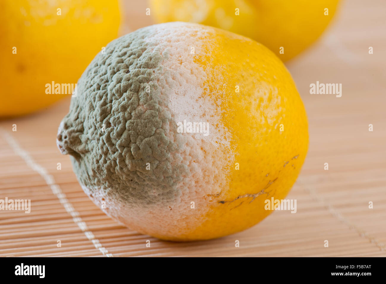 Lemon fruit mold closeup, fruit lying on mat, moldy and rotten bad food
