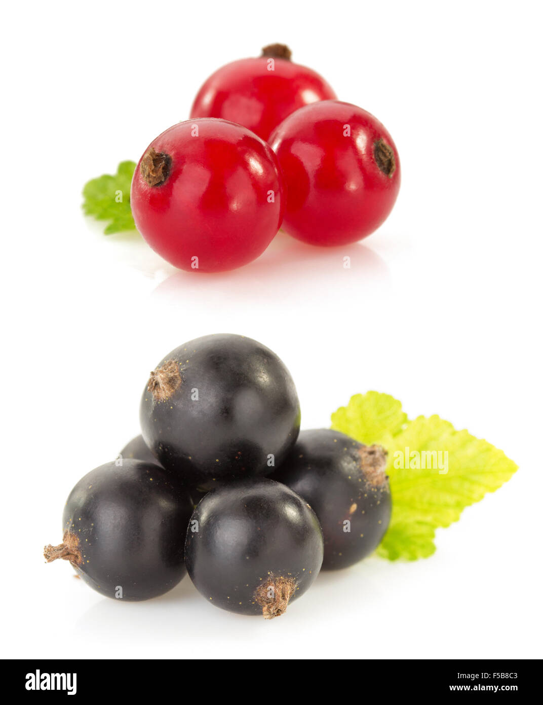 currants berry isolated on white background Stock Photo - Alamy