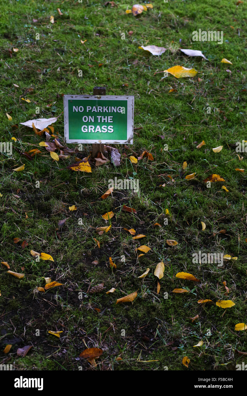 No parking on the grass sign over green lawn with autumn leaves, copy space Stock Photo