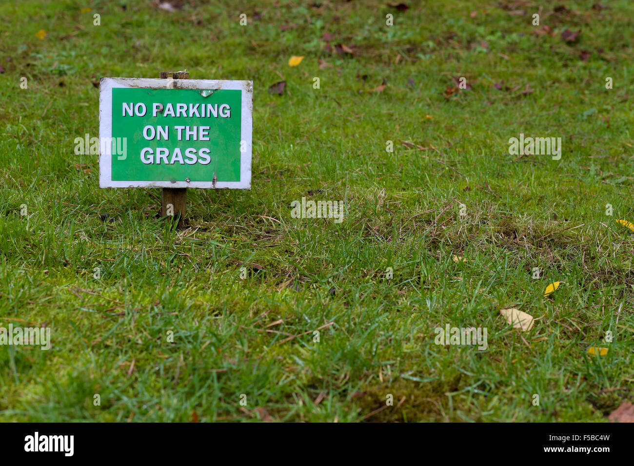 No parking on the grass sign over green lawn with autumn leaves, copy space Stock Photo