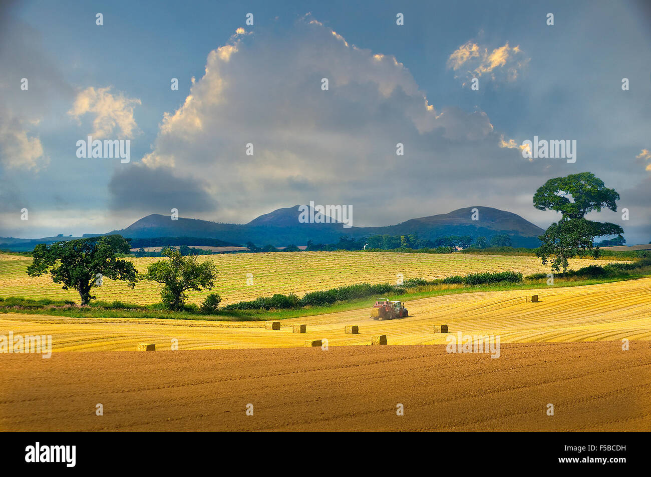 Eildon hills scotland hi-res stock photography and images - Alamy