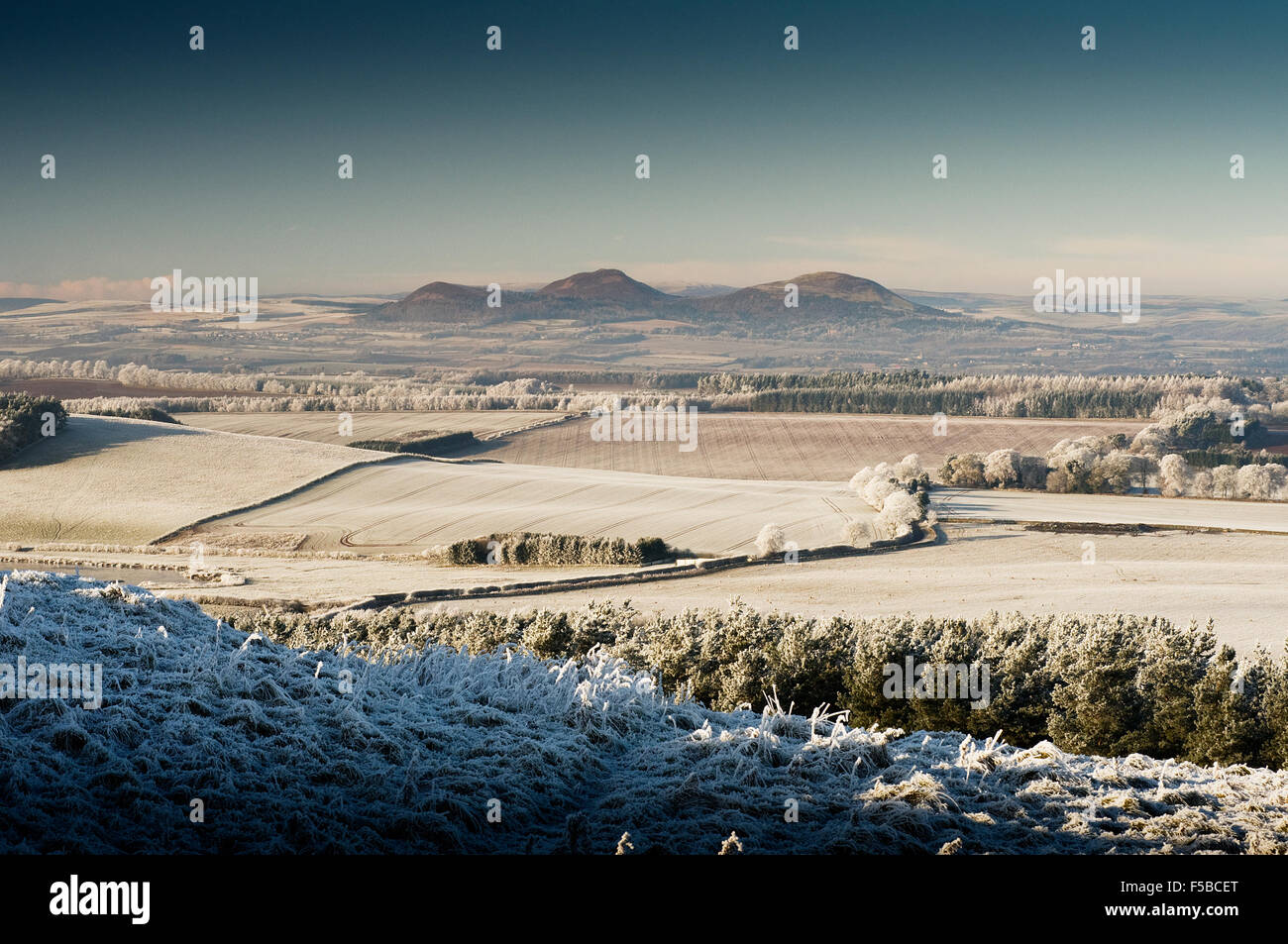 Eildon hills winter hi-res stock photography and images - Alamy
