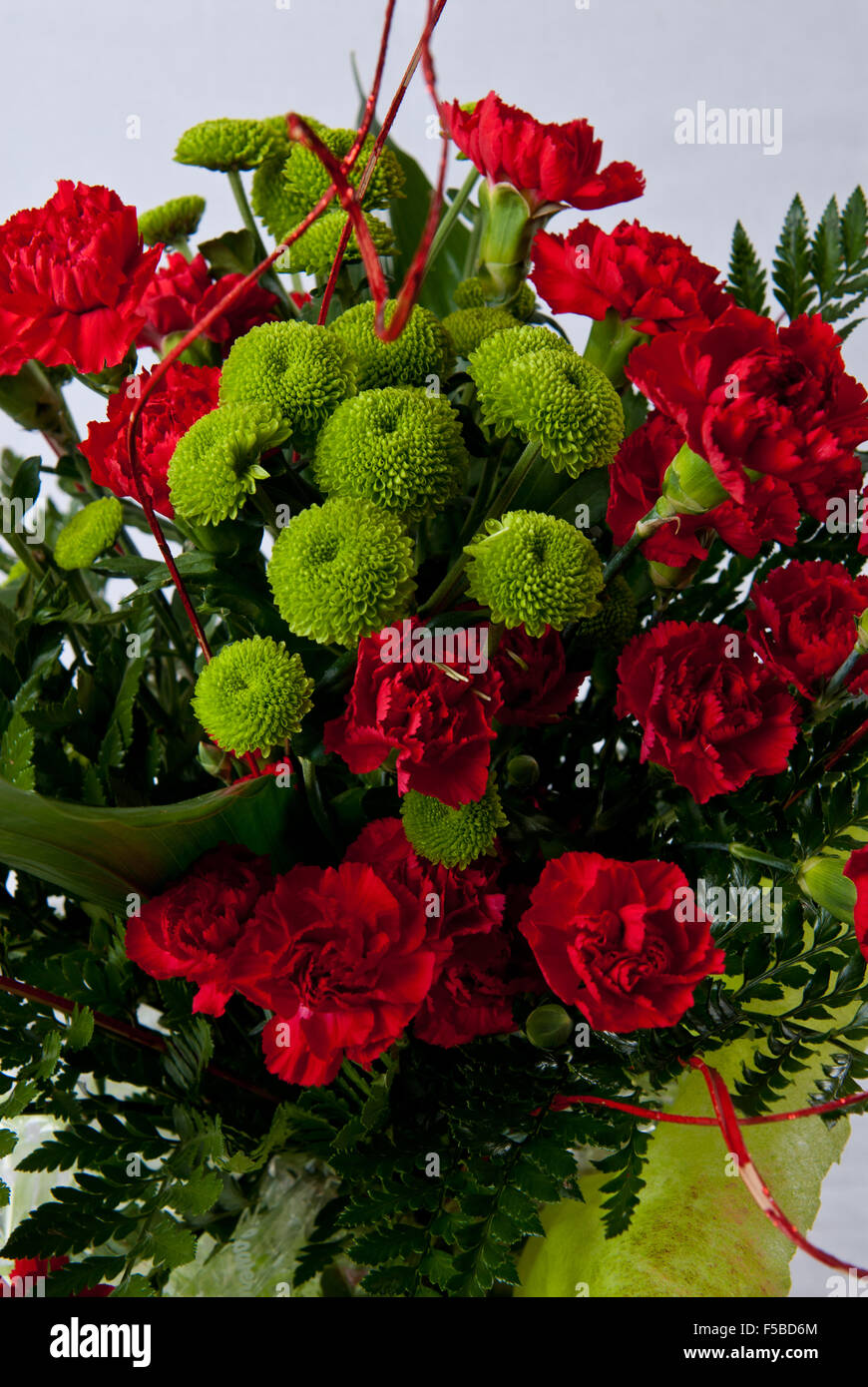 Red Carnations and small green Chrysanthemums in a floral display Stock