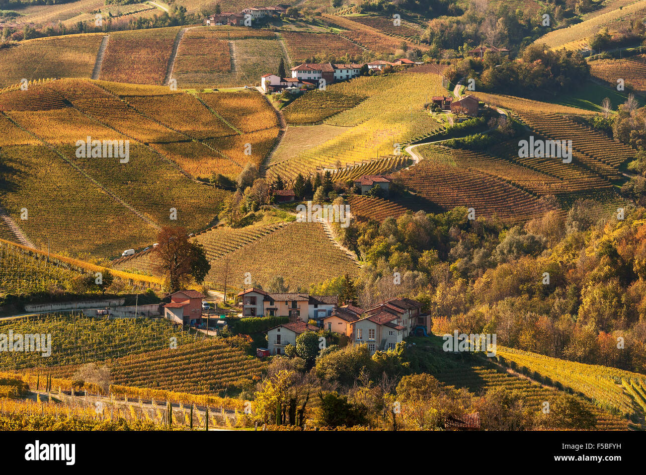 Rural houses among colorful autumnal vineyards on the hills of Piedmont, Northern Italy. Stock Photo