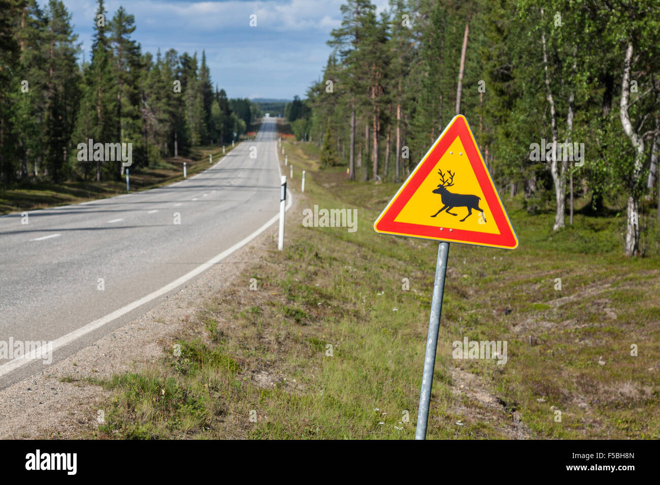 Beautiful scenic road in Norway. Typical warning road sign Stock Photo