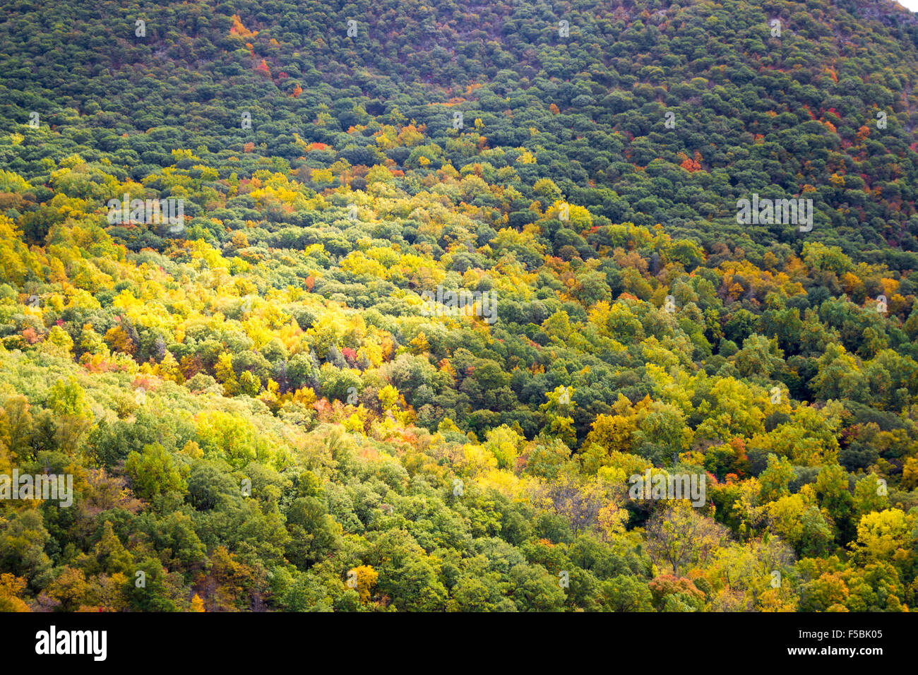 Picture taken during a hike from Breakneck ridge to Cold Spring during