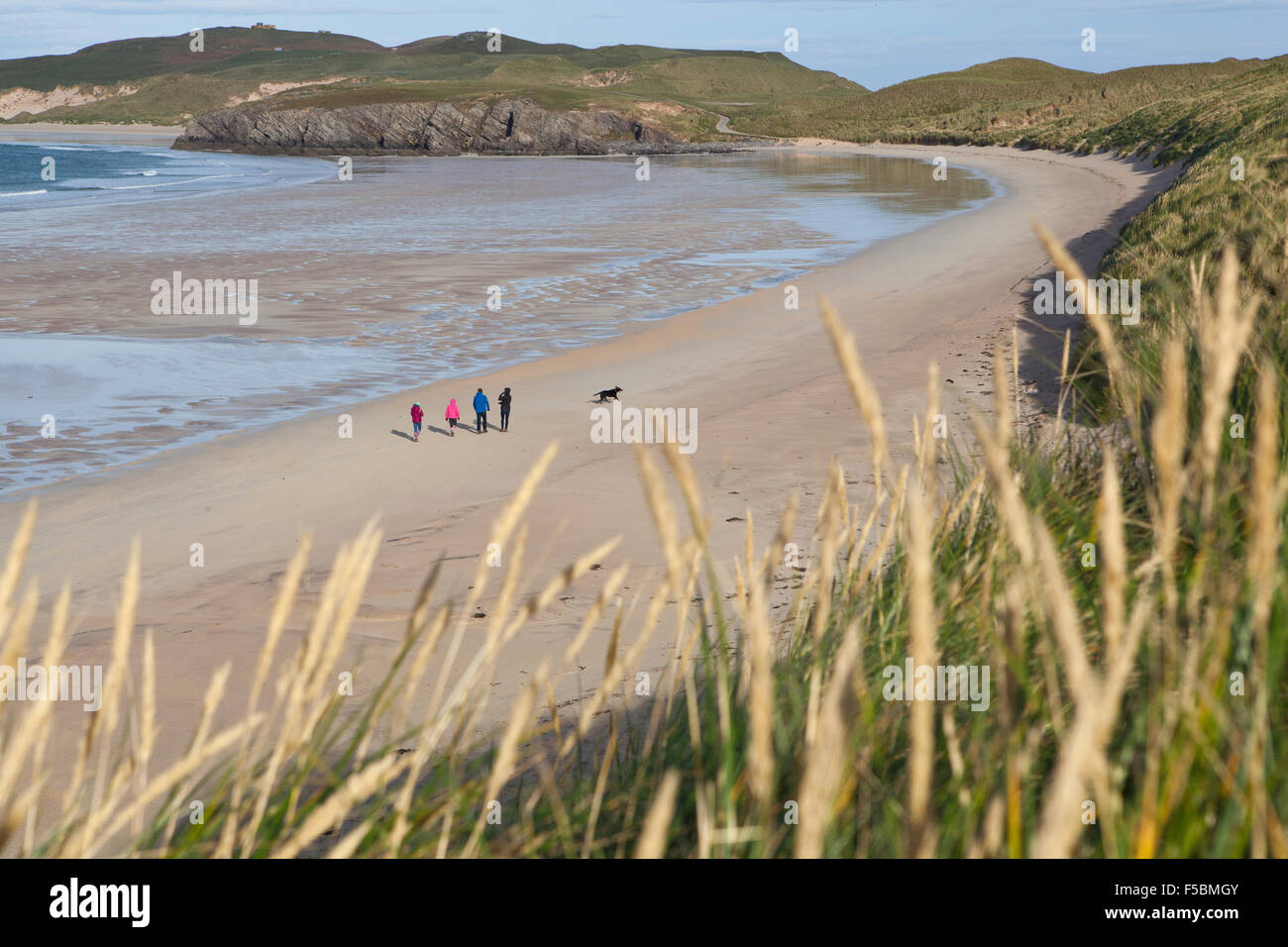 family and dog walking along shore of sandy beach sand dunes Scotlands North coast Stock Photo