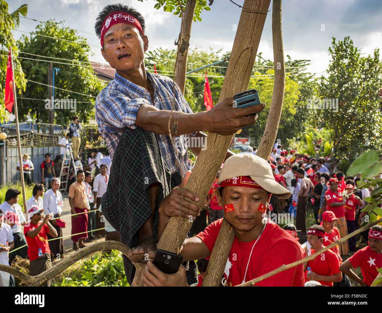 Yangon, Yangon Division, Myanmar. 1st Nov, 2015. Men climb a tree to get a better view of Aung San Suu Kyi at the NLD's last election rally of the 2015 election in the Yangon suburbs Sunday. Political parties are wrapping up their campaigns in Myanmar (Burma). National elections are scheduled for Sunday Nov. 8. The two principal parties are the National League for Democracy (NLD), the party of democracy icon and Nobel Peace Prize winner Aung San Suu Kyi, and the ruling Union Solidarity and Development Party (USDP), led by incumbent President Thein Sein. There are more than 30 parties campaign Stock Photo