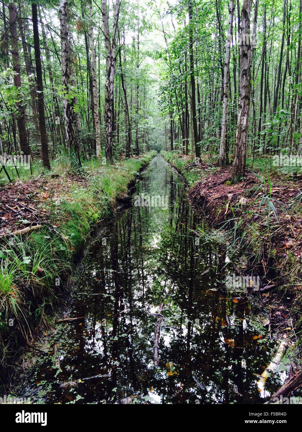 little tikes indoor playground