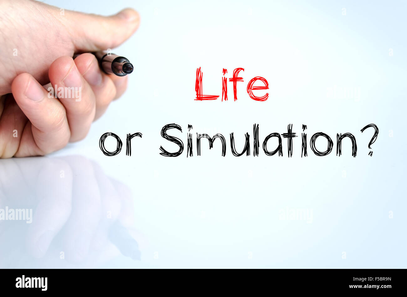 Life or simulation text concept isolated over white background Stock