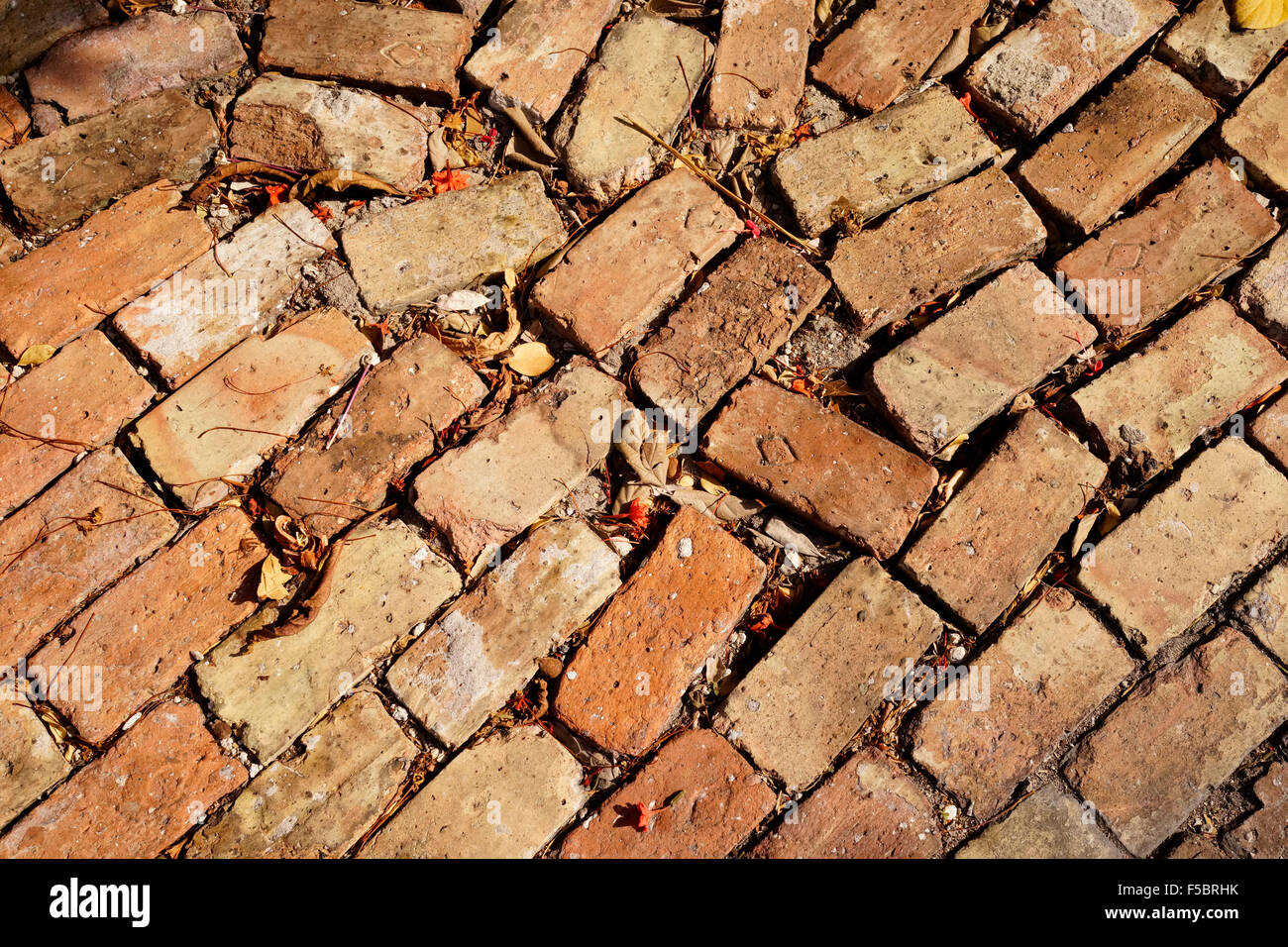 Old brick side walk in historic Key West, Florida, USA Stock Photo Alamy