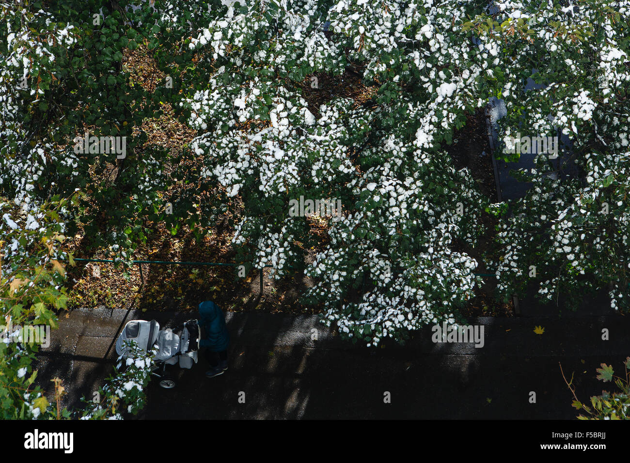 First snow covering autumn hi res stock photography and images Alamy