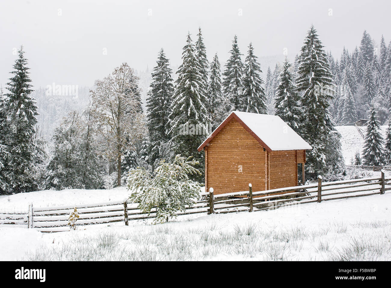 Country house during heavy snowfall in Carpathians mountains in Ukraine Stock Photo