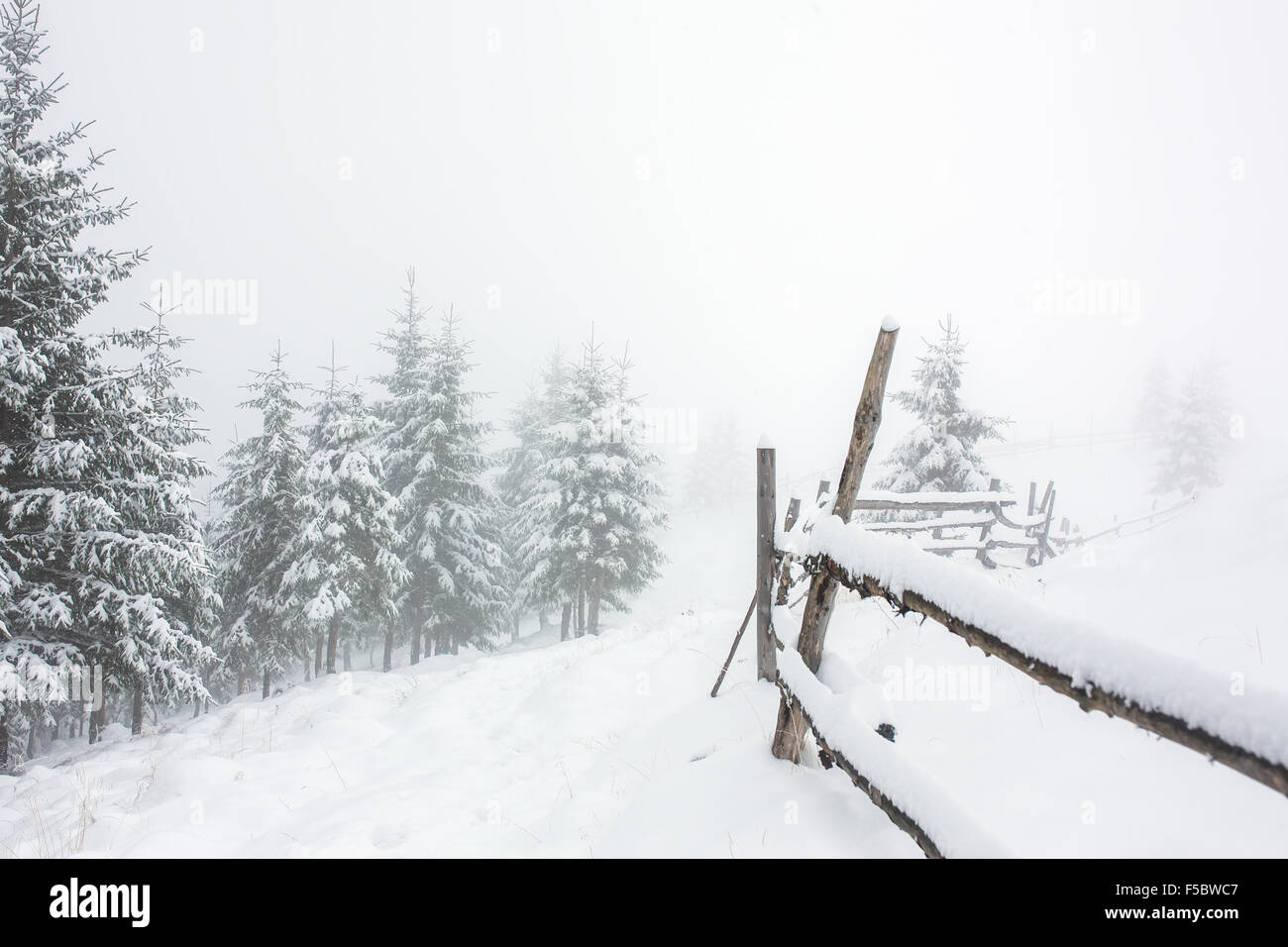 Beautiful winter landscape with snow covered trees and fence Stock ...