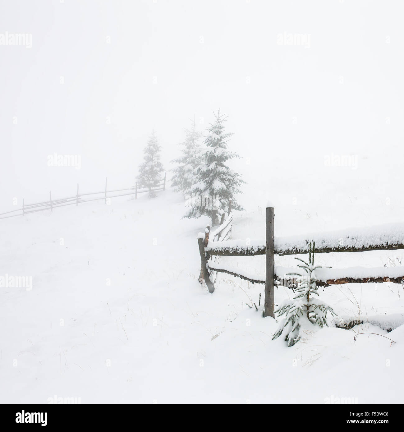 Beautiful winter landscape with snow covered trees and fence Stock ...