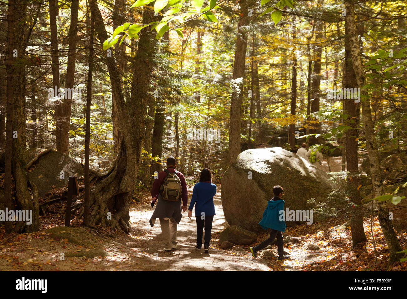 White mountain national forest hi-res stock photography and images - Alamy
