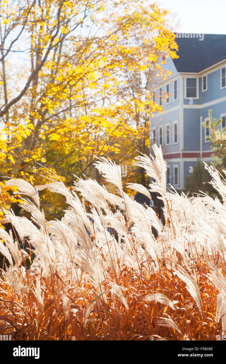 New england fall colours hi-res stock photography and images - Alamy