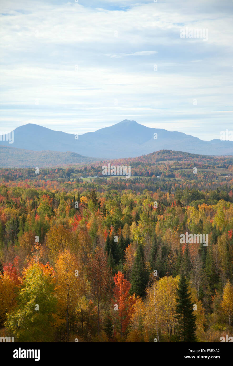 White mountain national forest hi-res stock photography and images - Alamy