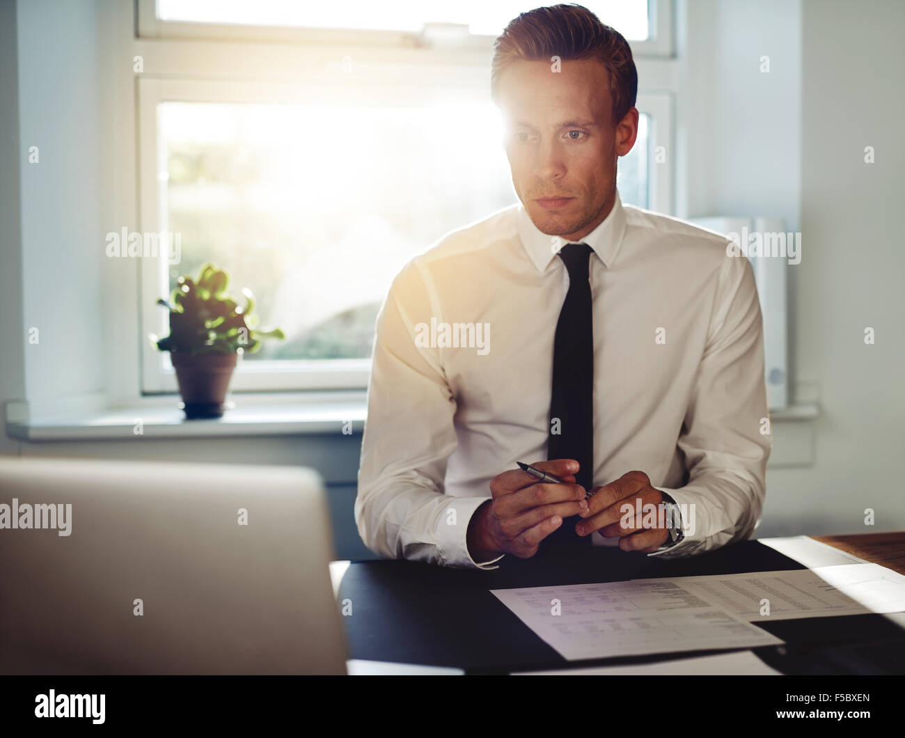 Professional business man at office working at his desk, holding a pen and looking at his laptop Stock Photo