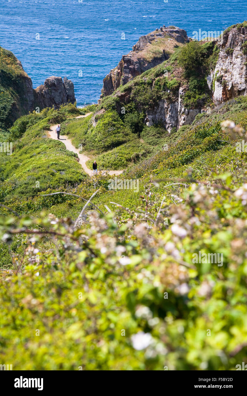 Coastal paths hi-res stock photography and images - Alamy