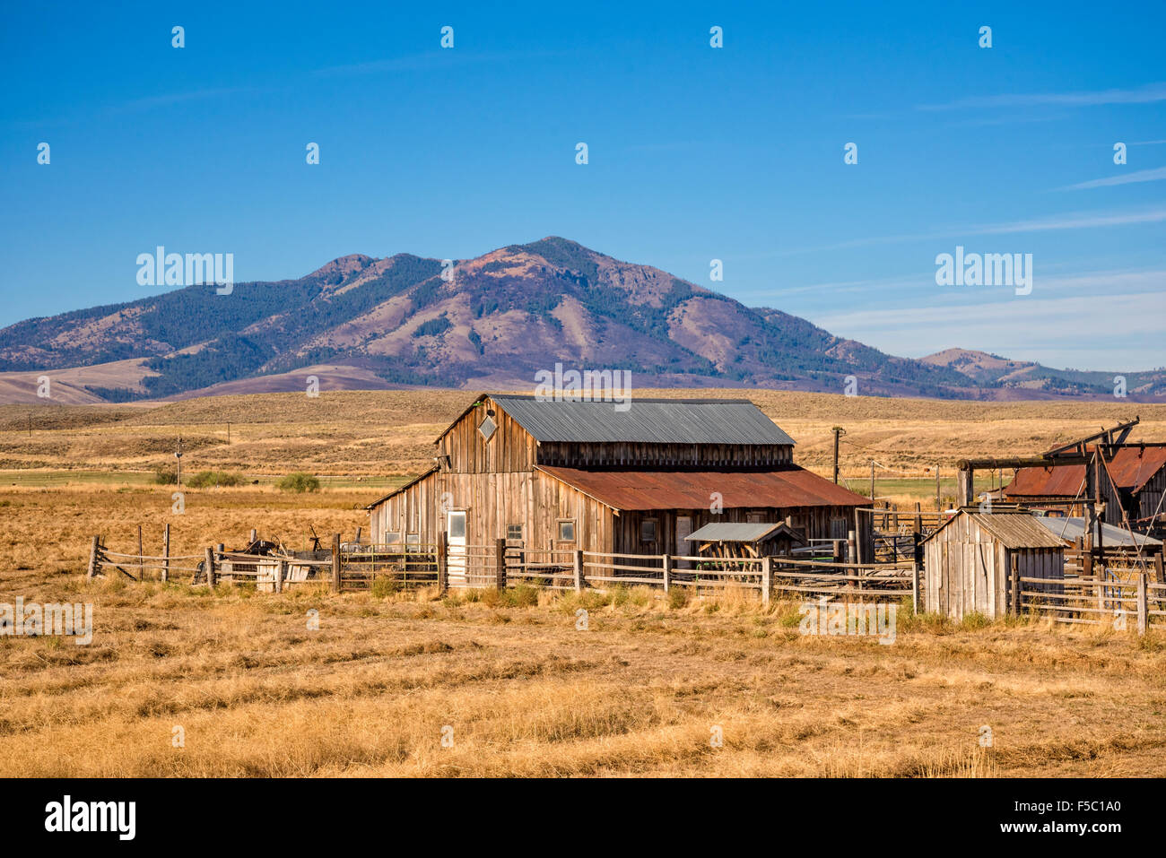 Barn on cattle ranch and Ironside Mountain in eastern Oregon. Stock Photo