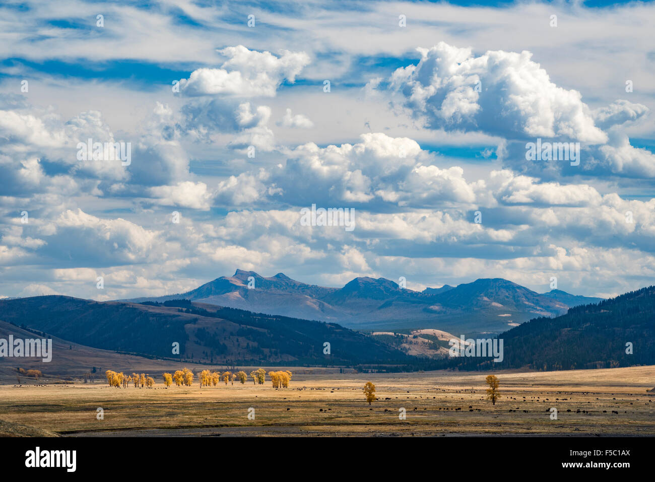 Lamar Valley and the Absaroka Mountains in autumn; Yellowstone National Park, Wyoming. Stock Photo