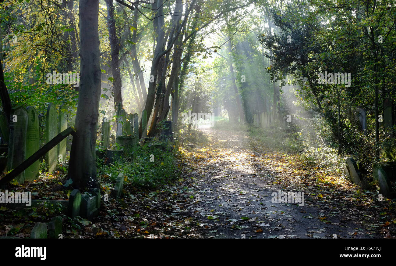 Sun rays into overgrown graveyard in Tower Hamlets Cemetery Park, London, UK autumn Stock Photo