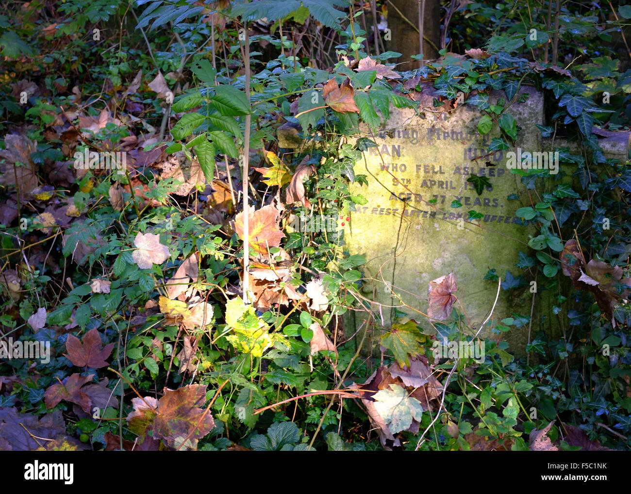 Sunlight on overgrown grave in in Tower Hamlets Cemetery Park, London, UK, autumn Stock Photo