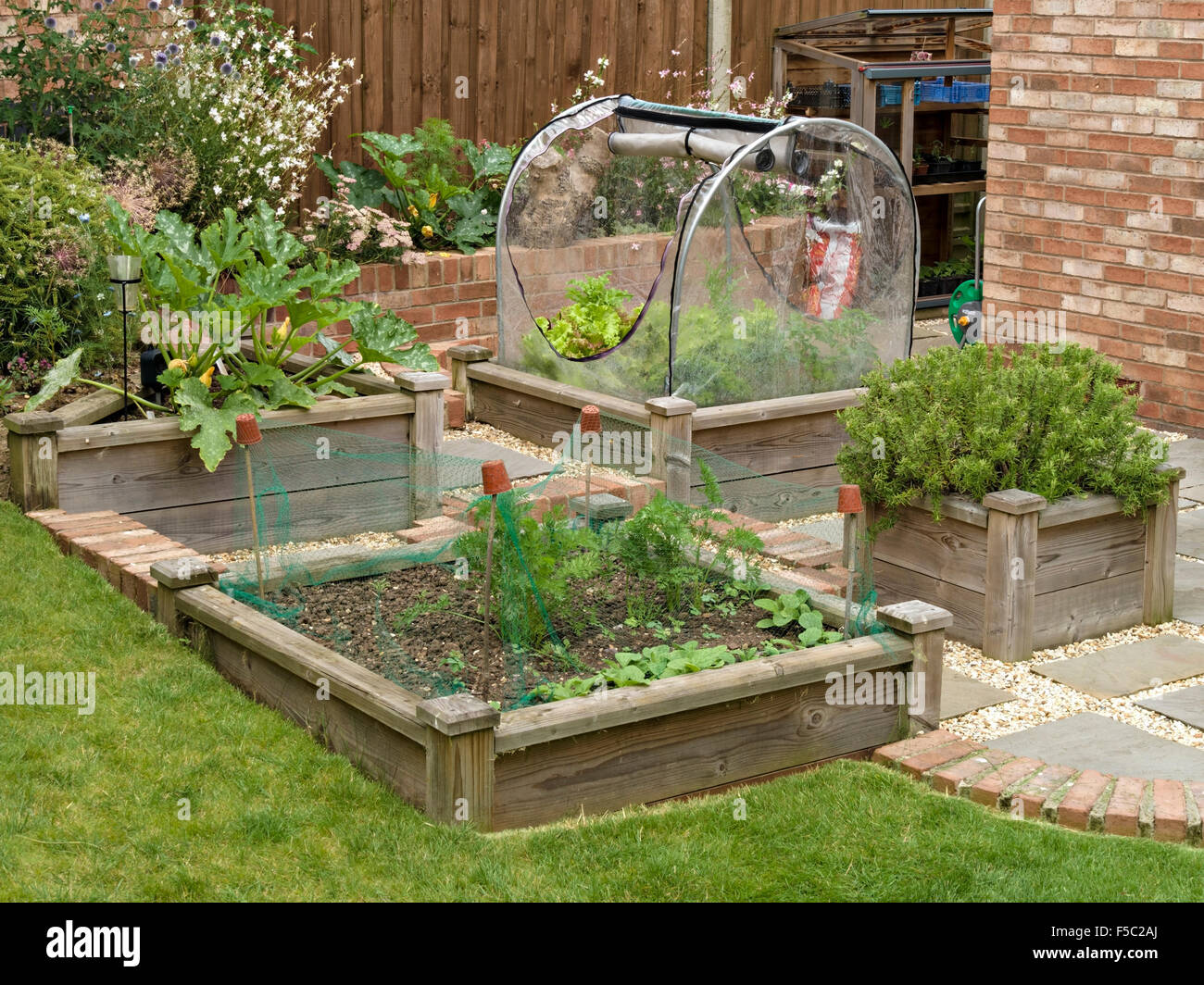 Small wooden raised beds for growing vegetables in domestic garden, UK