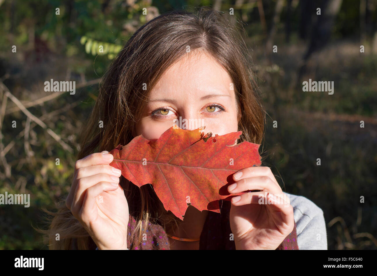 Autumn beauty portrait outdoors. Girl with gorgeous green eyes holding red autumn leaf over her face in the park Stock Photo