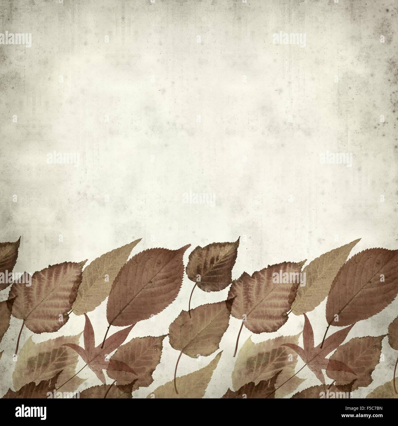 textured old paper background with autumnal leaves Stock Photo - Alamy