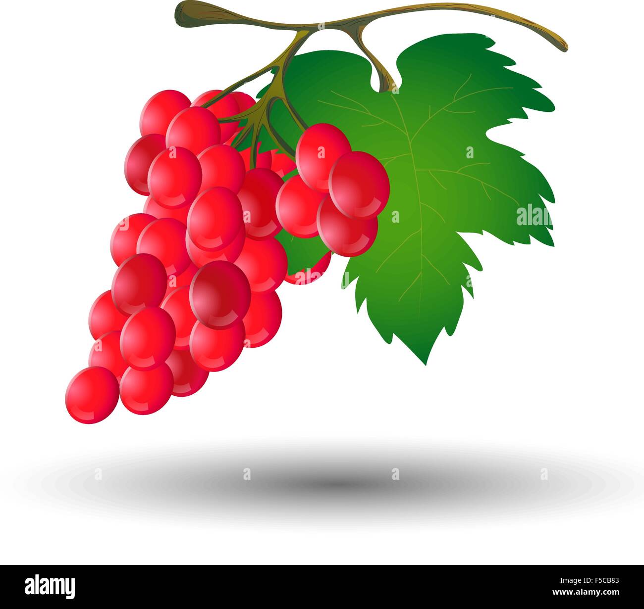 Bunch of grapes vector vectors hi-res stock photography and images - Alamy