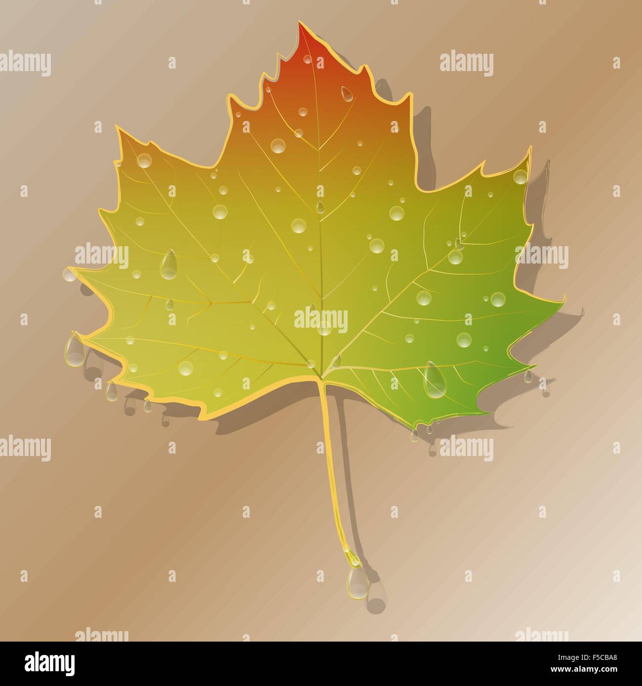 Leave Drop Vectordraw Drops vector vectors hi-res stock photography and images - Alamy