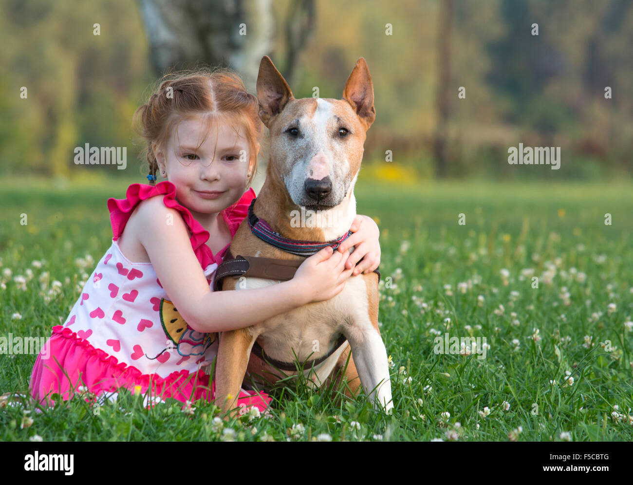 bull terrier toddlers