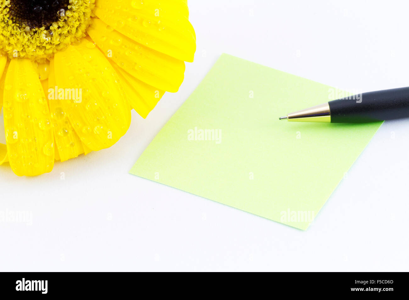 Fresh sunflower blossom with dew drops in corner with blank green note