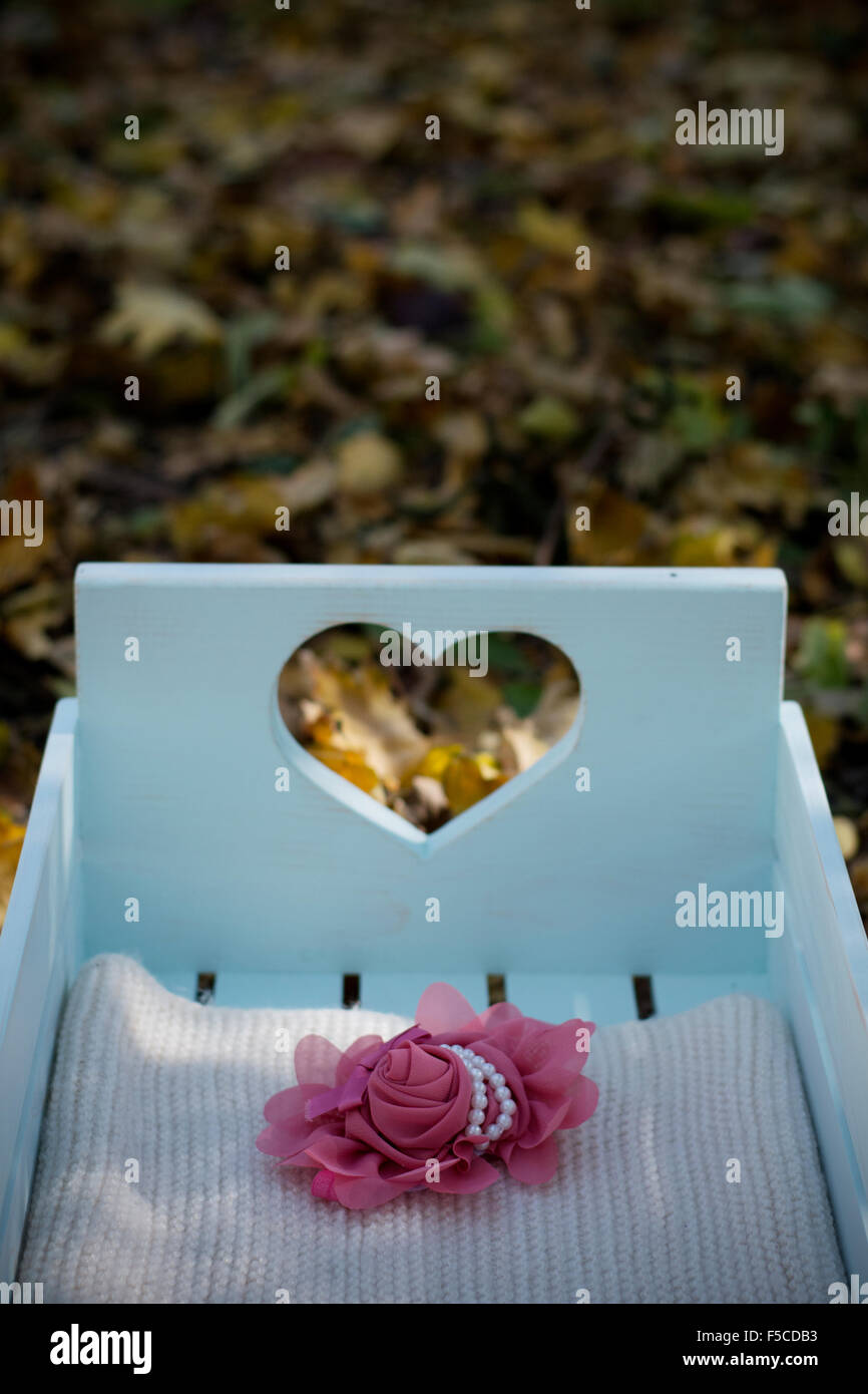Beautiful baby bed with heart shape hole and pink rose headband in autumn leaves on the ground in woods Stock Photo