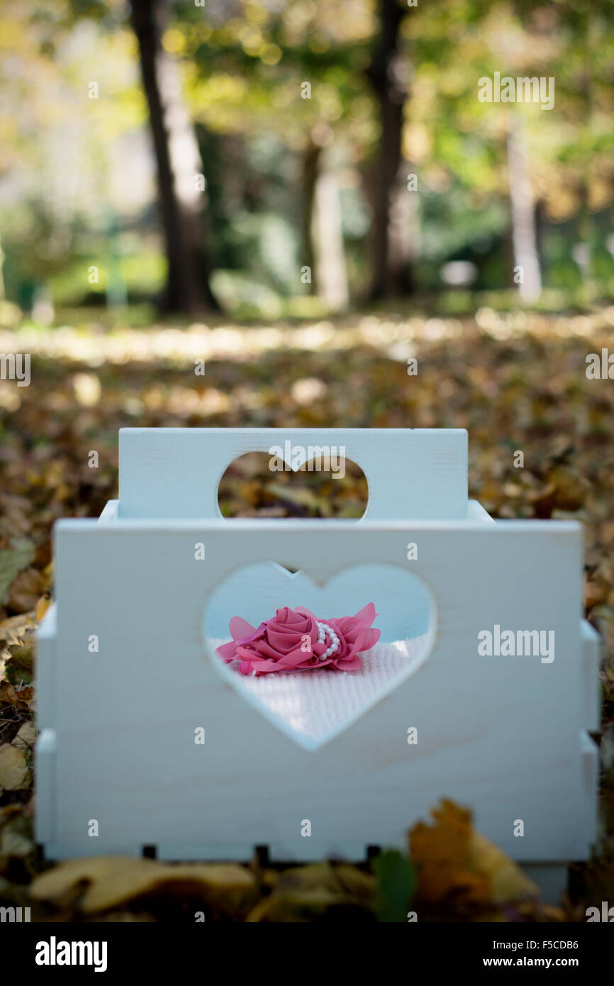 Beautiful baby bed with heart shape hole and pink rose headband in autumn leaves on the ground in woods Stock Photo